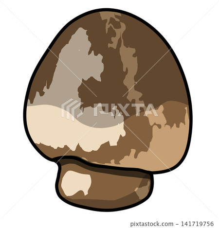 Straw Mushroom Colorful Cartoon Vector Illustration Straw Mushroom Colorful Cartoon Vector Illustration 141719756