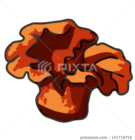 Lobster Mushroom Colorful Cartoon Vector Illustration Lobster Mushroom Colorful Cartoon Vector Illustration 141719758