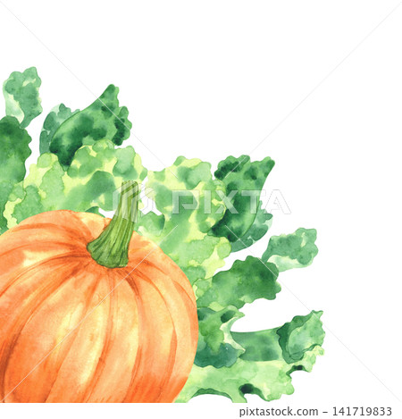 Corner composition of the pumpkin and lettuce. Watercolor illustration. Handmade art work. For packaging design, cards, cover, prints, product labels and fabric. Corner composition of the pumpkin and lettuce. Watercolor illustration. Handmade art work. For packaging design, cards, cover, prints, product labels and fabric. 141719833