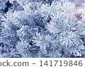 Holiday winter banner with frozen branches of fir tree. Horizontal Christmas background with pine branch, covered with frost. Festive banner featuring a frosted fir branch. Photo toned in blue color 141719846