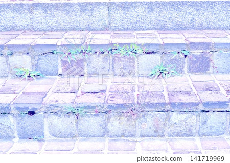 Background texture of weeds growing from the cracks in the stone steps and old cobblestones. Background texture of weeds growing from the cracks in the stone steps and old cobblestones. 141719969