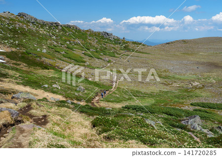 The hiking trail leading to Mt. Hakunzan in Hokkaido's Daisetsuzan Mountains and the magnificent alpine scenery. The hiking trail leading to Mt. Hakunzan in Hokkaido's Daisetsuzan Mountains and the magnificent alpine scenery. 141720285