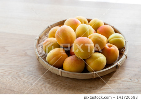 Harvested ripe plums Harvested ripe plums 141720588