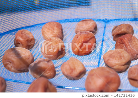 Homemade pickled plums: The process of sun-drying them. Homemade pickled plums: The process of sun-drying them. 141721436