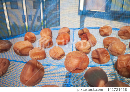 Homemade pickled plums: The process of sun-drying them. 141721438