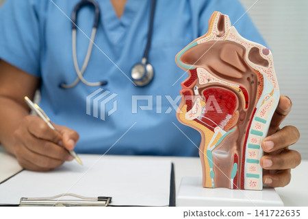 Asian doctor with nasal oral throat cavity neck human anatomy model for study diagnosis and treatment in hospital. Asian doctor with nasal oral throat cavity neck human anatomy model for study diagnosis and treatment in hospital. 141722635