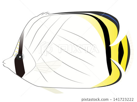 一幅可愛的卡通風格蝴蝶魚插圖。 141723222