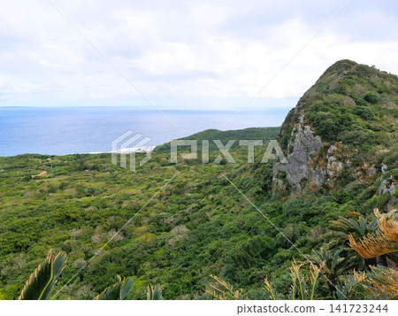 沖繩島最北端的大石林山,位於山原。 沖繩島最北端的大石林山,位於山原。 141723244