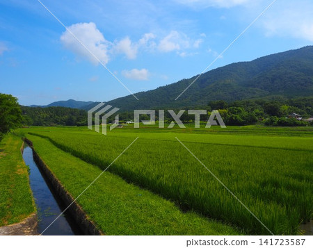 Nostalgic scenery Nostalgic scenery 141723587