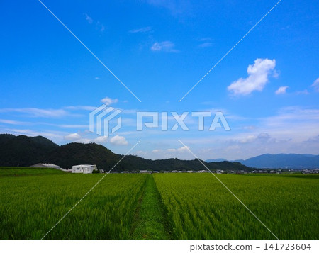 懷舊的風景 懷舊的風景 141723604