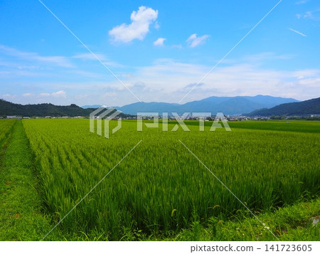 Nostalgic scenery Nostalgic scenery 141723605