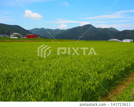 Nostalgic scenery Nostalgic scenery 141723611