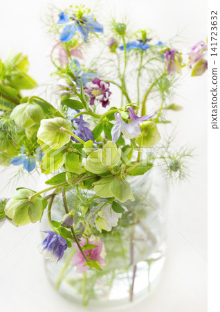 A bouquet of Christmas roses and seasonal wildflowers displayed in a glass bottle against a white background. 141723632