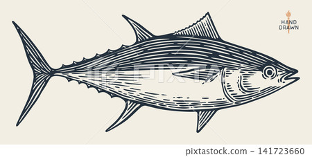 Tuna Fish, seafood, sketch Tuna Fish, seafood, sketch 141723660