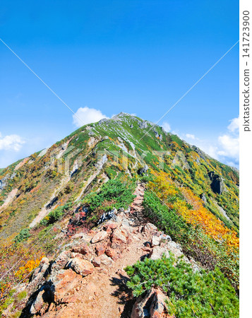 秋季攀登哈里諾基山和蓮華山（哈里諾基山至蓮華山） 141723900