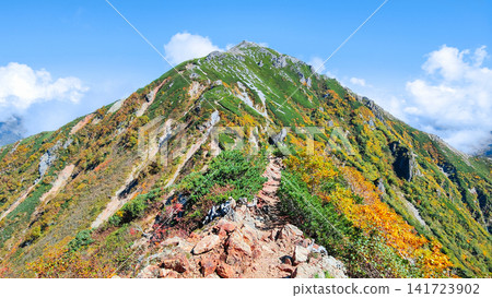 秋季攀登哈里諾基山和蓮華山(哈里諾基山至蓮華山) 秋季攀登哈里諾基山和蓮華山(哈里諾基山至蓮華山) 141723902