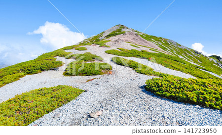 秋季徒步攀登哈里諾基山和蓮華山(從哈里諾基山口登頂蓮華山) 秋季徒步攀登哈里諾基山和蓮華山(從哈里諾基山口登頂蓮華山) 141723950