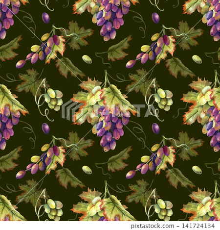 Seamless pattern grapes vine watercolor. Hand drawn illustrations isolated on dark green background. Bunches, red berries, leaves, grapevine tendrils. For premium wine packaging, kitchen textile Seamless pattern grapes vine watercolor. Hand drawn illustrations isolated on dark green background. Bunches, red berries, leaves, grapevine tendrils. For premium wine packaging, kitchen textile 141724134