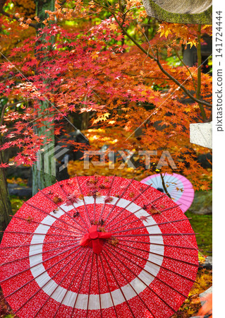 京都少林寺:美麗的秋葉(京都府京都市東山區) 京都少林寺:美麗的秋葉(京都府京都市東山區) 141724444