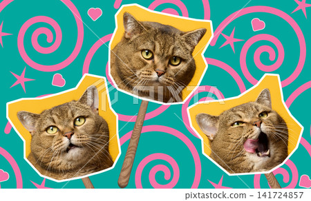 A creative collage featuring portraits of a funny cat on wooden sticks against a bright turquoise background with pink spirals and stars. A creative collage featuring portraits of a funny cat on wooden sticks against a bright turquoise background with pink spirals and stars. 141724857