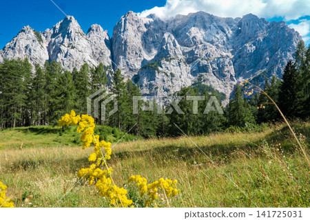 Stunning view on the Vrsic Pass in Triglav National Park, Slovenia, looking towards the rocky Julian Alps mountains with winding alpine road, green slopes and dramatic sky Stunning view on the Vrsic Pass in Triglav National Park, Slovenia, looking towards the rocky Julian Alps mountains with winding alpine road, green slopes and dramatic sky 141725031