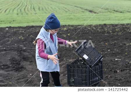 Girl assists adults working in rural field, Girl assists adults working in rural field, 141725442