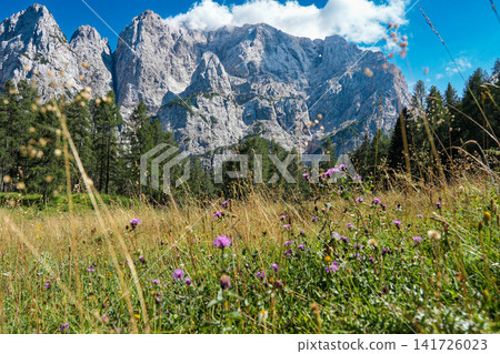 Stunning view on the Vrsic Pass in Triglav National Park, Slovenia, looking towards the rocky Julian Alps mountains with winding alpine road, green slopes and dramatic sky Stunning view on the Vrsic Pass in Triglav National Park, Slovenia, looking towards the rocky Julian Alps mountains with winding alpine road, green slopes and dramatic sky 141726023