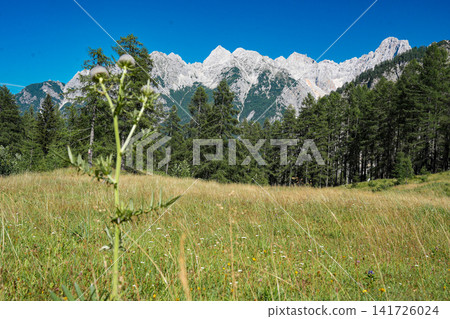 Stunning view on the Vrsic Pass in Triglav National Park, Slovenia, looking towards the rocky Julian Alps mountains with winding alpine road, green slopes and dramatic sky Stunning view on the Vrsic Pass in Triglav National Park, Slovenia, looking towards the rocky Julian Alps mountains with winding alpine road, green slopes and dramatic sky 141726024