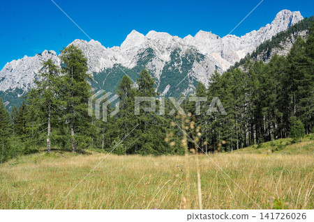 Stunning view on the Vrsic Pass in Triglav National Park, Slovenia, looking towards the rocky Julian Alps mountains with winding alpine road, green slopes and dramatic sky Stunning view on the Vrsic Pass in Triglav National Park, Slovenia, looking towards the rocky Julian Alps mountains with winding alpine road, green slopes and dramatic sky 141726026