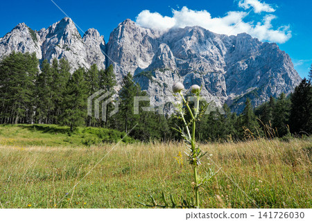 Stunning view on the Vrsic Pass in Triglav National Park, Slovenia, looking towards the rocky Julian Alps mountains with winding alpine road, green slopes and dramatic sky Stunning view on the Vrsic Pass in Triglav National Park, Slovenia, looking towards the rocky Julian Alps mountains with winding alpine road, green slopes and dramatic sky 141726030