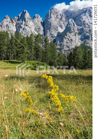 Stunning view on the Vrsic Pass in Triglav National Park, Slovenia, looking towards the rocky Julian Alps mountains with winding alpine road, green slopes and dramatic sky Stunning view on the Vrsic Pass in Triglav National Park, Slovenia, looking towards the rocky Julian Alps mountains with winding alpine road, green slopes and dramatic sky 141726031