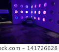 Carpet Interior 141726628