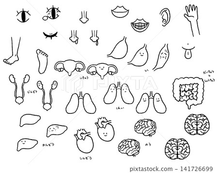 A set of hand-drawn illustrations of body parts and organs, in black and white. A set of hand-drawn illustrations of body parts and organs, in black and white. 141726699