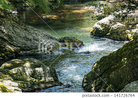 An emerald green stream flows through the summer valley. An emerald green stream flows through the summer valley. 141726764