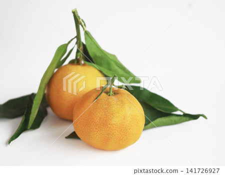 Clementine, mandarin orange, fruit, citrus fruit Clementine, mandarin orange, fruit, citrus fruit 141726927