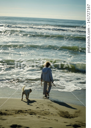 Girl and Dog Walking by the Sea at the Beach Girl and Dog Walking by the Sea at the Beach 141727167