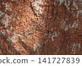 Textured stone surface 141727839