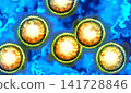 Influenza D Virus 141728846