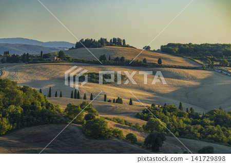 Rolling golden hills of the Val d'Orcia, Tuscany, Italy Rolling golden hills of the Val d'Orcia, Tuscany, Italy 141729898