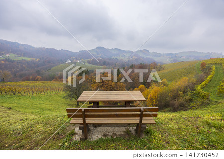 Panoramic view over vineyards from picnic bench, Southern Styria Panoramic view over vineyards from picnic bench, Southern Styria 141730452