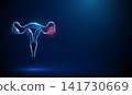 3D blue uterus with red spot. Gynecology, ovarian cancer, tumor growth, women health, reproductive care medicine, oncology screening, early lesion diagnosis concept 141730669