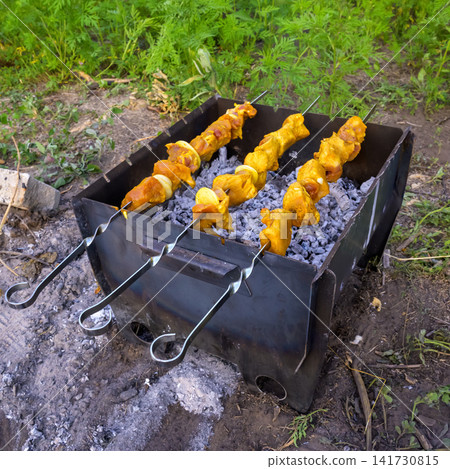 barbecue grill with kebab skewers standing on ground at countryside plot barbecue grill with kebab skewers standing on ground at countryside plot 141730815