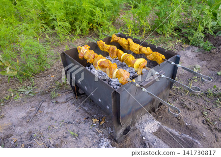 portable barbecue grill with kebabs on skewers among green grass portable barbecue grill with kebabs on skewers among green grass 141730817