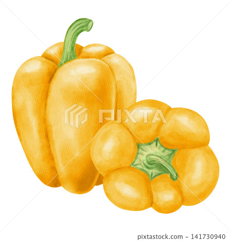 Watercolor illustration, composition with yellow bell pepper. Hand-drawn whole and cut ripe sweet peppers with fresh green leaves. Suitable for kitchen textiles, packaging, harvest, and agriculture Watercolor illustration, composition with yellow bell pepper. Hand-drawn whole and cut ripe sweet peppers with fresh green leaves. Suitable for kitchen textiles, packaging, harvest, and agriculture 141730940