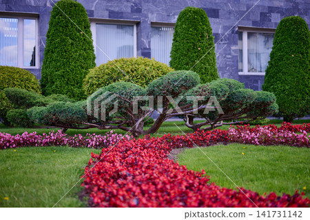 Shrubs and colorful flowers create a garden design at a building during daylight. The green grass and neat layout add to the outdoor space in the city Shrubs and colorful flowers create a garden design at a building during daylight. The green grass and neat layout add to the outdoor space in the city 141731142