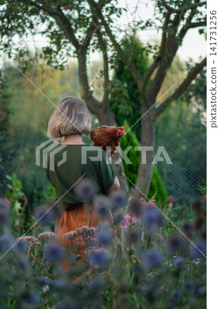 Happy chicken farmer woman holds hen against her chest in backyard garden. Hands holding hen in ranch. Happy chicken farmer woman holds hen against her chest in backyard garden. Hands holding hen in ranch. 141731256