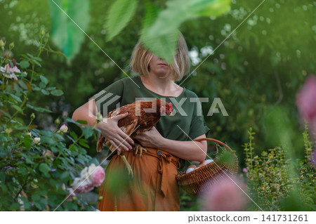 Wicker basket filled with white and brown eggs rests in woman hands alongside calm red hen in sunlit garden. Woman carries fresh eggs in wicker basket and holds red hen Wicker basket filled with white and brown eggs rests in woman hands alongside calm red hen in sunlit garden. Woman carries fresh eggs in wicker basket and holds red hen 141731261