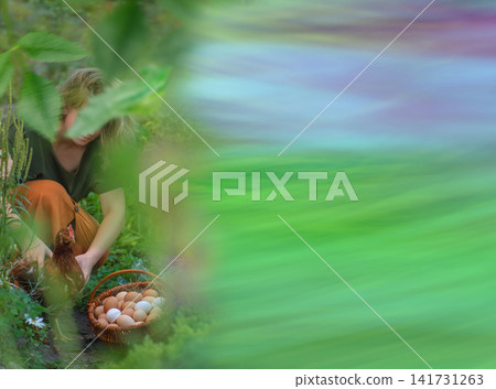Farmer collecting fresh eggs from backyard chicken coop. Healthy red hen remains calm in female farmer hands beside basket containing freshly gathered eggs. Farmer collecting fresh eggs from backyard chicken coop. Healthy red hen remains calm in female farmer hands beside basket containing freshly gathered eggs. 141731263