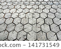 Wooden Hexagonal Blocks Floor. Natural Textured Background. 141731549