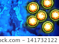 Influenza D Outbreak 141732122